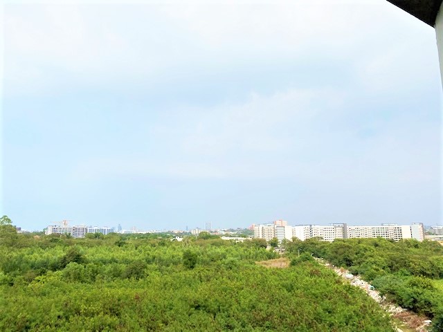 Jomtien Beach Condominium/A3/F6 STUDIO· 1 BATH · 30 SQM · 1 BALCONY 14
